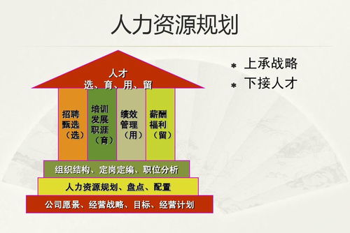 人力资源规划