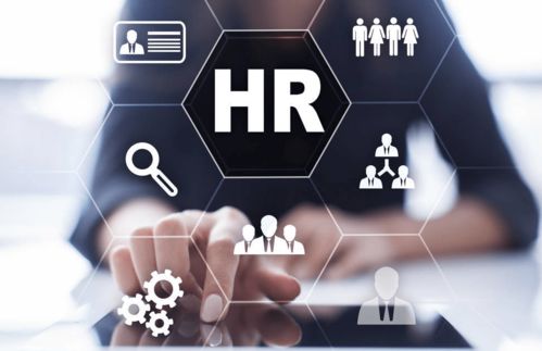 你那叫打杂,这才是人力资源管理