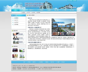 为一个人力资源加后勤服公司做的网站效果图