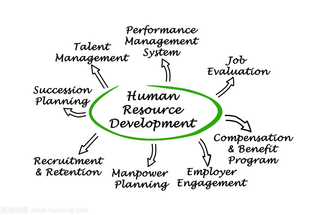 人力资源开发的组成部分