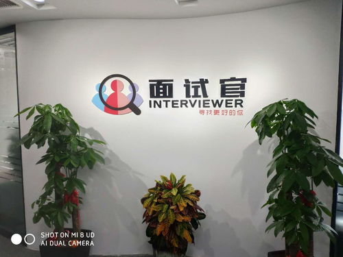 面试官 天津 人力资源服务