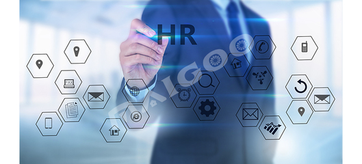 【人力资源知识百科】hr是什么意思 人力资源管理六大模块_知识频道_买购网