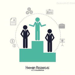 人力资源外包,国内有哪些比较受欢迎的项目