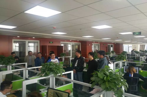 最近工作动态随时看