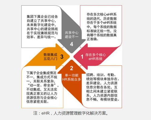 大型集团化国有企业人力资源数字化建设的解决之道