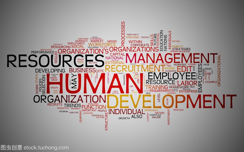 人力资源发展 从行政职能到战略伙伴的演变