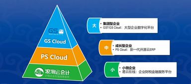 浪潮云ERP 中国SaaS市场人力资源领域的引领者