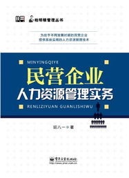 民营企业人力资源管理实务 柏明顿管理丛书